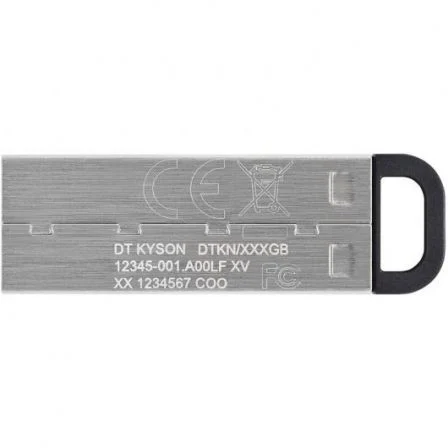 Kingston DataTraveler Kyson 256 GB Plata Kingston DataTraveler Kyson 256 GB Plata